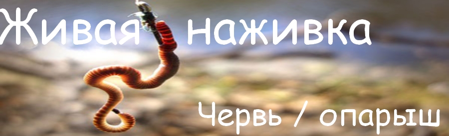 Троллинг на лодку пвх Троллинг на лодку пвх